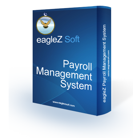 eagleZ Soft Software Development Web Design Development Search engine optiomization social media management google adds facebook adds