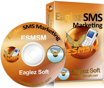 eagleZ Soft Software Development Web Design Development Search engine optiomization social media management google adds facebook adds