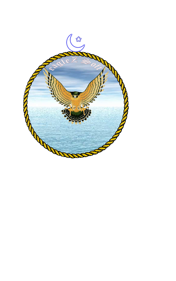 eagleZ Soft Software Development Web Design Development Search engine optiomization social media management google adds facebook adds