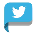 eagleZ Soft Software Development Web Design Development Search engine optiomization social media management google adds facebook adds